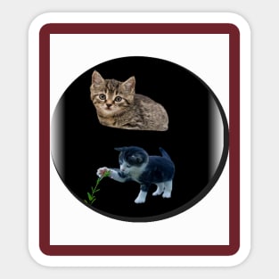 two kittens Sticker